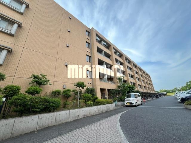 ロイヤルパーク多摩川(1DK/2階)