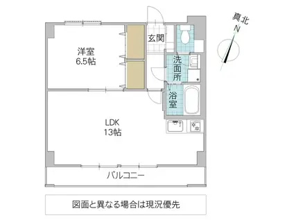 ラフィーネコート(1LDK/1階)の間取り写真