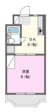 MANSION AMIRION(1DK/1階)の間取り写真