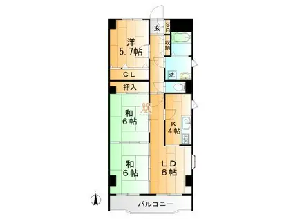 エクシード館(3LDK/7階)の間取り写真