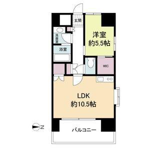 LA DOUCEUR山王(1LDK/10階)の間取り写真