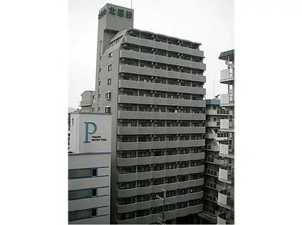 ノルデンハイム新大阪(1K/8階)の外観写真