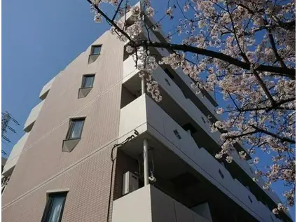 アネックス船堀(ワンルーム/2階)の外観写真