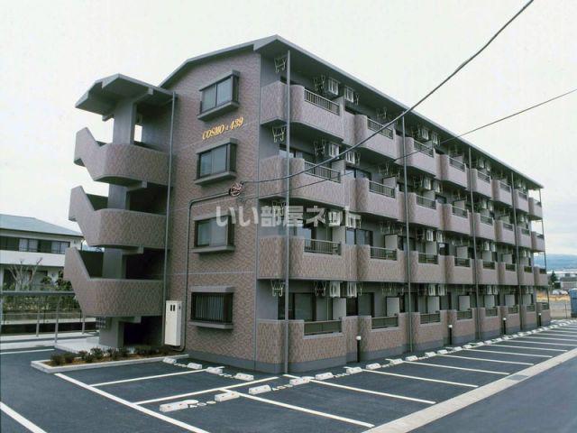 COSMO 439(1DK/1階)