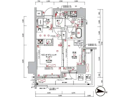 クレイシア板橋本町(1LDK/11階)の間取り写真