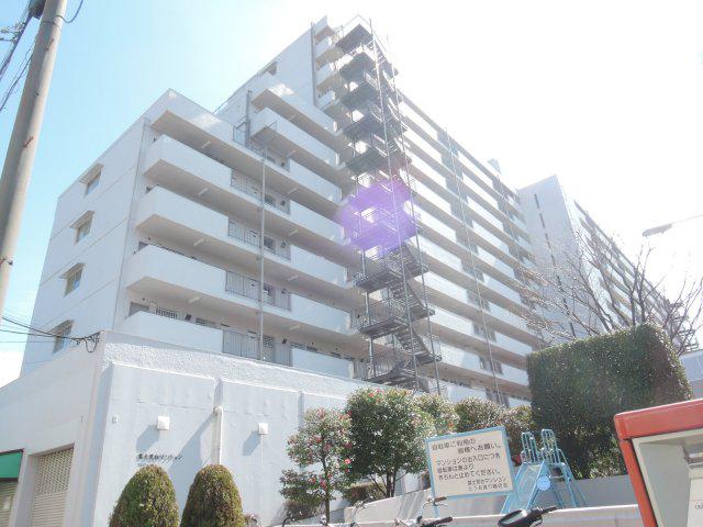 富士見台マンション(3LDK/7階)