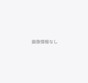 パストラルハイム上野毛(3LDK/2階)の間取り写真