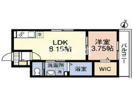 フェリーチェVI(1LDK/1階)の間取り写真