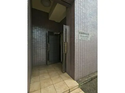 KM今川ビル(ワンルーム/5階)の外観写真