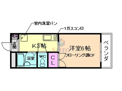 メゾンパティオ(1K/1階)の間取り写真