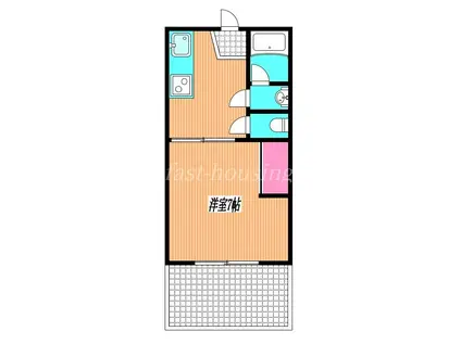 ソフィア吉祥寺(1K/3階)の間取り写真