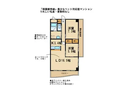 エクセレンス梶ヶ谷(2LDK/3階)の間取り写真