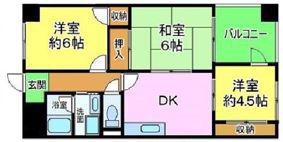 ドミール和泉府中(3DK/6階)の間取り写真