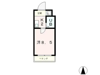 ヒューマスタ39(1K/5階)の間取り写真