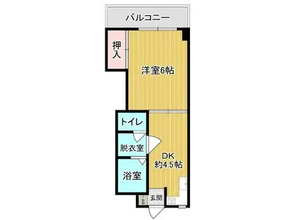 不知火ハイツ(1DK/5階)の間取り写真