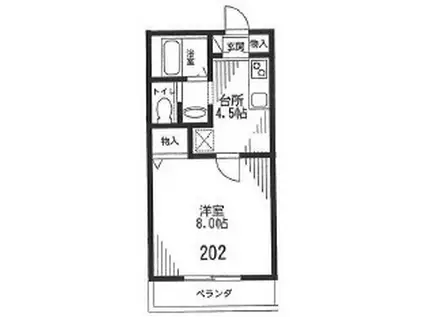 ADORE鵠沼(1K/2階)の間取り写真