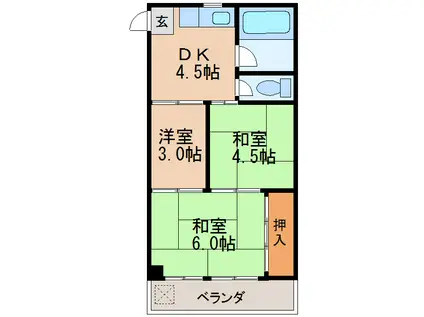 大野ビル(3DK/3階)の間取り写真