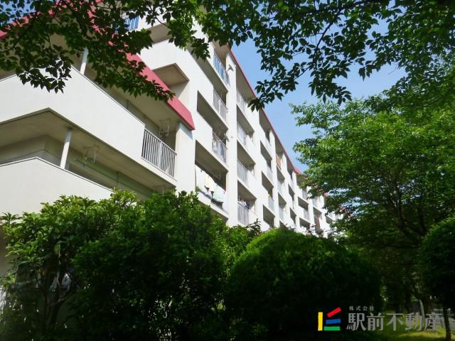 名島コーポ(2LDK/2階)