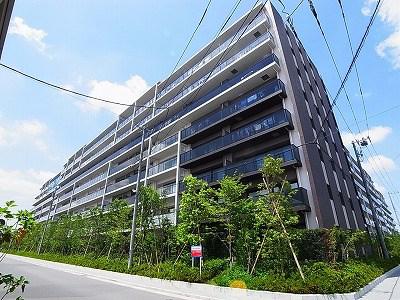 シティテラス八潮(3LDK/8階)