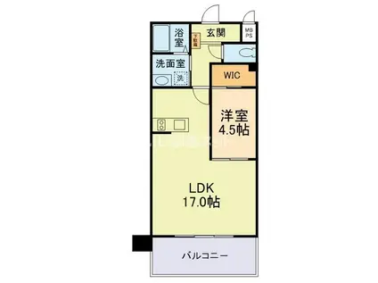 MTH GRANDE 新大江(1LDK/7階)の間取り写真