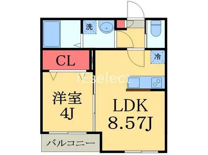 カクタス幕張本郷(1LDK/1階)の間取り写真