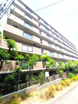 白鷹香枦園マンション(3LDK/5階)