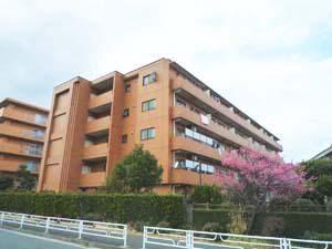 RAYHAUS横濱鶴見I(2DK/5階)