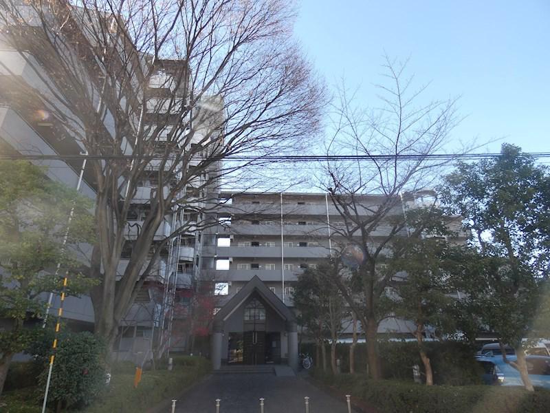 アーバンイケダマンション(3LDK/1階)