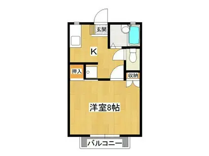 ハイツシャムール(1K/1階)の間取り写真