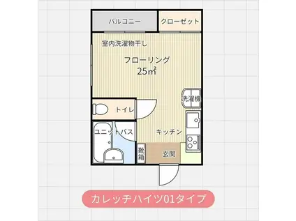 カレッヂ・ハイツ(ワンルーム/2階)の間取り写真