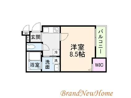 フジパレス堺白鷺V番館(1K/1階)の間取り写真