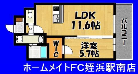 プレアデス(1LDK/7階)の間取り写真