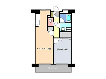 ピーノドゥーエ(1LDK/3階)の間取り写真