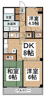 グラシアス三鷹(3DK/3階)の間取り写真