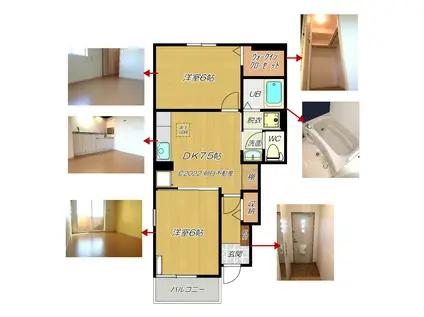 ドミール・たかくらIII棟(2DK/1階)の間取り写真