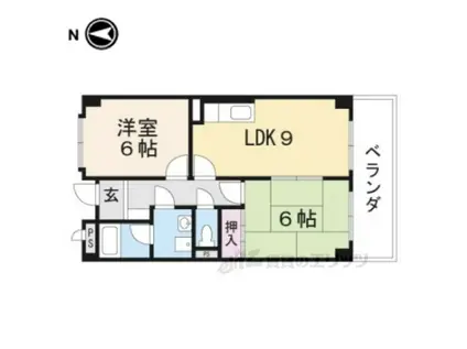 ネオミレニアム(2LDK/1階)の間取り写真