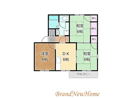 グリーンハイツ浜寺(3DK/1階)の間取り写真