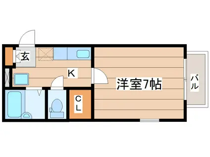 パセオプラシード雨宮(1K/1階)の間取り写真