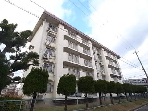 安倉団地5号棟(3DK/2階)