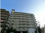 ボーグ新大阪