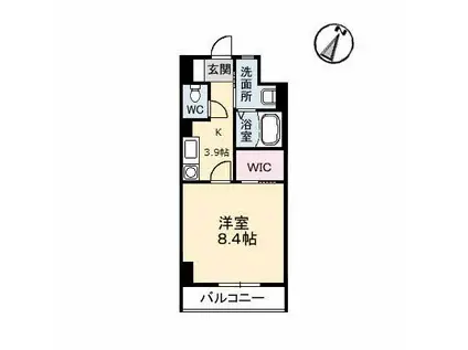 メゾン呉駅前(1K/8階)の間取り写真