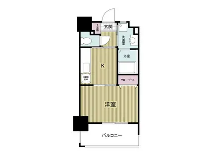 フェルト127(1K/10階)の間取り写真