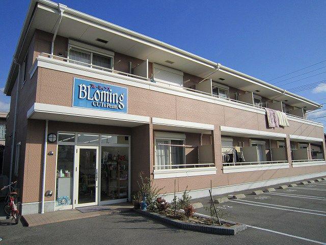 ウェルネス新橋(1K/1階)