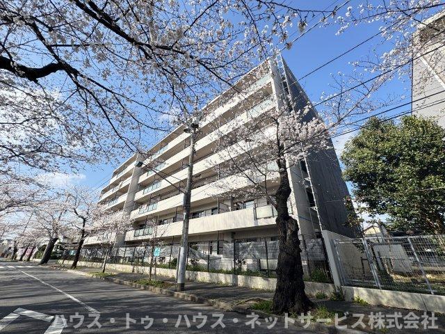 カーサグラン松戸(3LDK/2階)