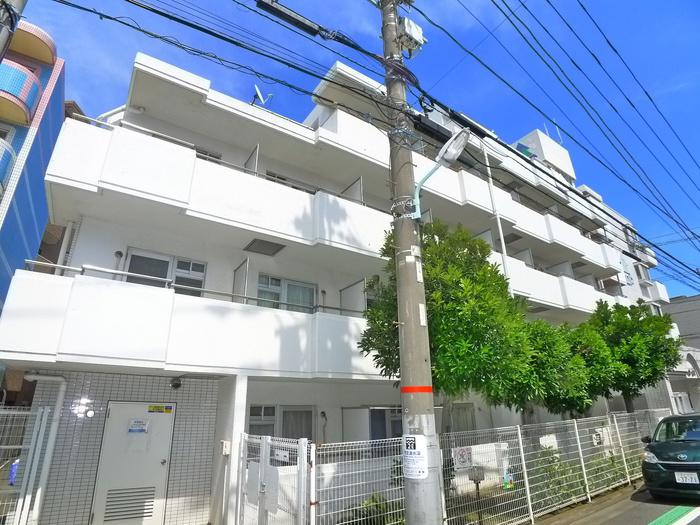 トップ金町(1K/1階)