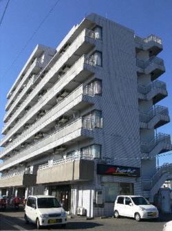 コスモ恒久(1DK/4階)
