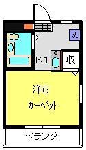 柳澤ハイツ(1K/1階)の間取り写真