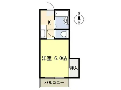 レジデンス中澤(1K/1階)の間取り写真
