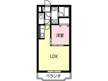 グレイス広見(1LDK/1階)の間取り写真