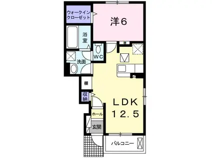 サンライズMII(1LDK/1階)の間取り写真
